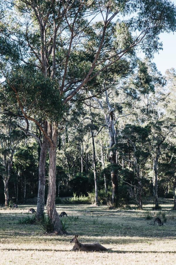 Worrowing Jervis Bay Hotel Huskisson Kültér fotó